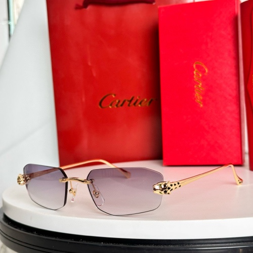 Cartier Sunglasses-1041